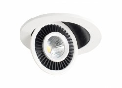 Cветильник встраиваемый Donolux DL18463/01WW-White R Dim