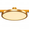 Магнитный трековый светильник FARM Золотистый LED 1*10W 3000K 520Lm Ra90 120 IP20 D168xH54 24V FARM    ST818.206.12