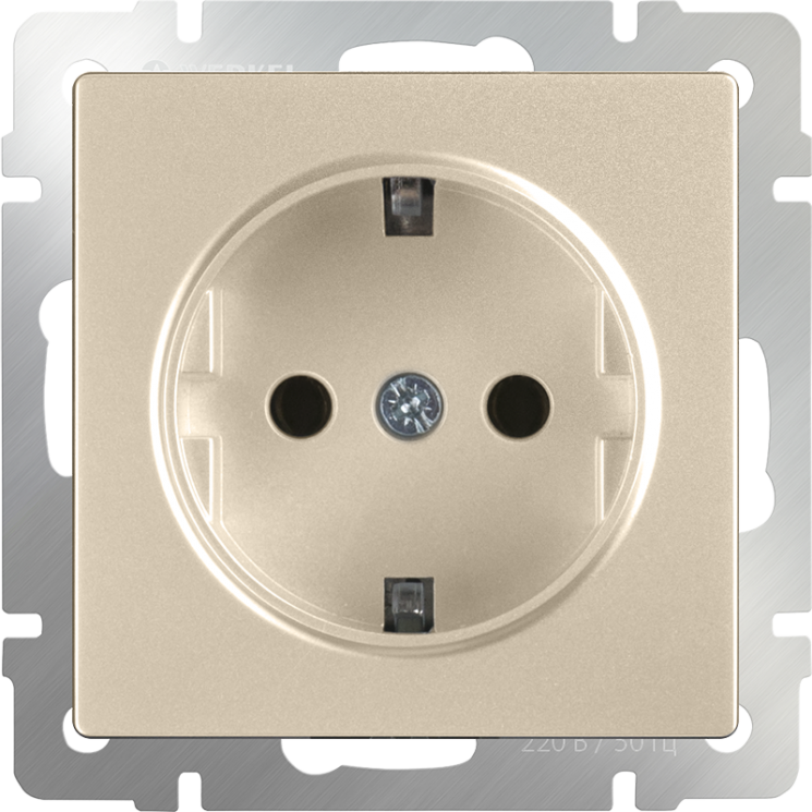 Розетка с заземлением и шторками шампань Werkel W1171111 (WL11-SKGS-01-IP44)