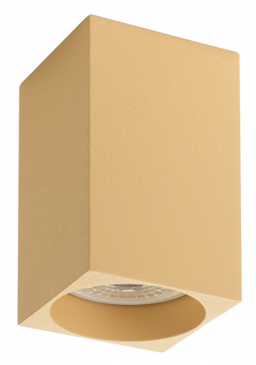 Накладной светильник Denkirs DK2009-CO