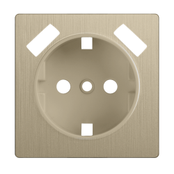 Накладка  для розетки USB шампань рифленый Werkel W1179510 (WL10-USB-CP)