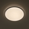 Накладной светильник Citilux CL734480G Спутник