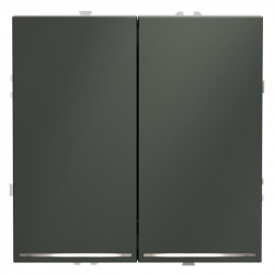 Выключатель двухклавишный VOLTUM VLS020206 титан