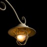 Светильник потолочный Arte lamp LANTERNA A4579PL-5WG