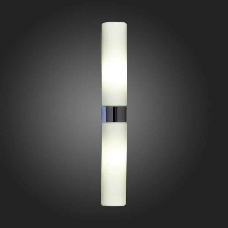 Светильник настенный ST Luce SL1301.101.02 TOCIA