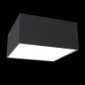 Потолочный светильник Maytoni C067CL-L12B4K Zon