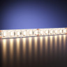 Светодиодная лента Maytoni(Led Strip) Technical  24В 2835 9,6Вт/м 3000К 5м IP 65 201042