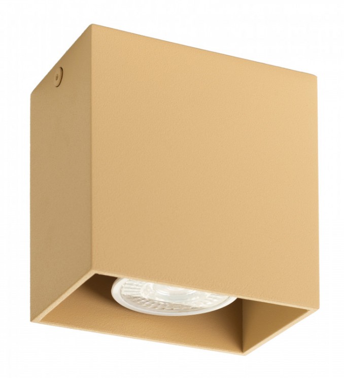 Накладной светильник Denkirs DK2027-CO