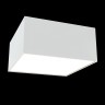 Потолочный светильник Maytoni C067CL-L12W4K Zon