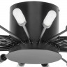 Накладная люстра Lightstar 732287 RAGNO