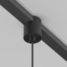 Светильник на шине Maytoni Technical  Elasity TR169-1-52W3K-M-B Points