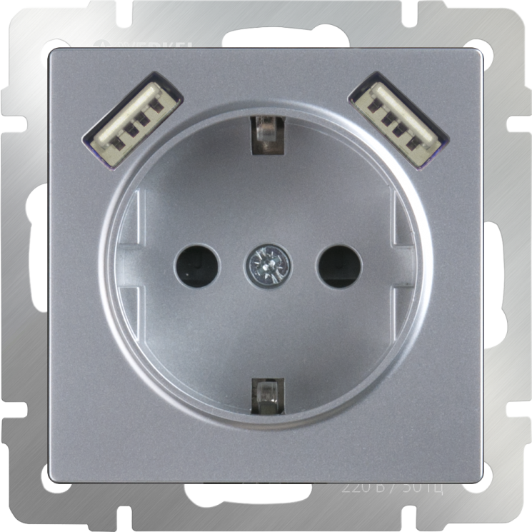 Розетка с заземлением, шторками и USBх2 серебряный Werkel W1171506 (WL06-SKGS-USBx2-IP20)