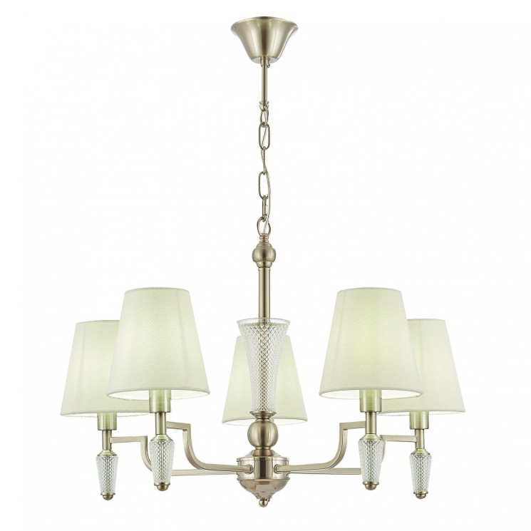 Люстра подвесная Evoluce REIMO SLE105503-05