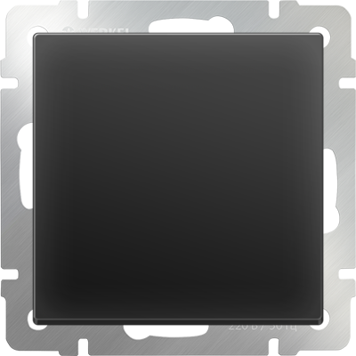 Выключатель одноклавишный  черный матовый Werkel W1110008 (WL08-SW-1G) черный матовый