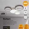 Люстра потолочная Lumion NORBERT 5253/64CL