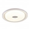 Потолочный светильник F-Promo Dafna 2463-5C