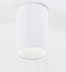 Светильник накладной Citilux CL558100