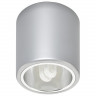 Накладной светильник Nowodvorski 4868 Downlight