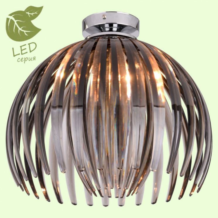 Накладной светильник Lussole GRLSP-9539 HOCKESSIN