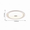Потолочный светильник F-Promo Dafna 2463-6C