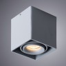 Светильник потолочный Arte lamp PICTOR A5654PL-1GY