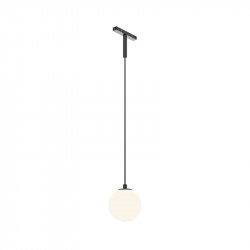 Светильник на шине Maytoni Technical  Elasity TR178-1-5WTW-B luna