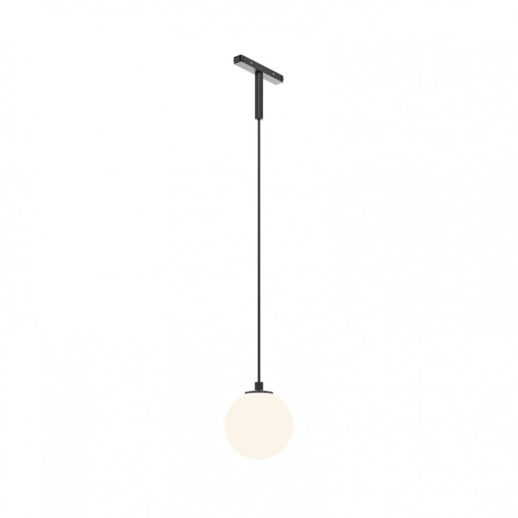 Светильник на шине Maytoni Technical  Elasity TR178-1-5WTW-B luna