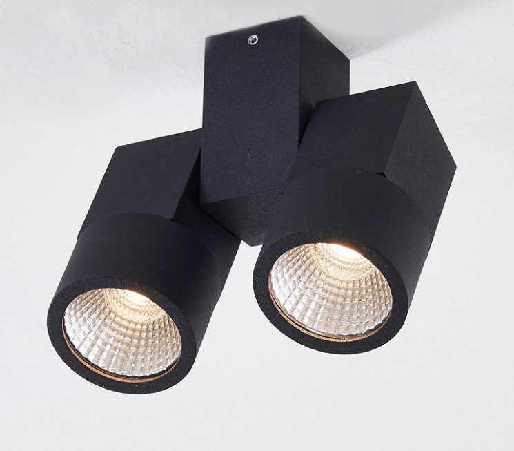 Светильник спот накладной Citilux CL556102