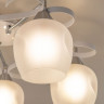 Накладная люстра Citilux CL171153 Сюзи