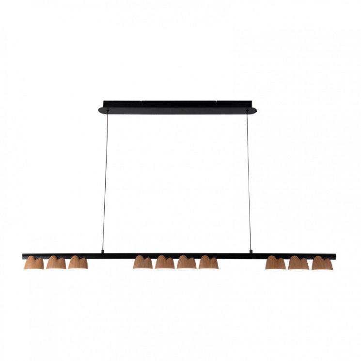 Подвесная люстра Favourite 4266-10P Interline