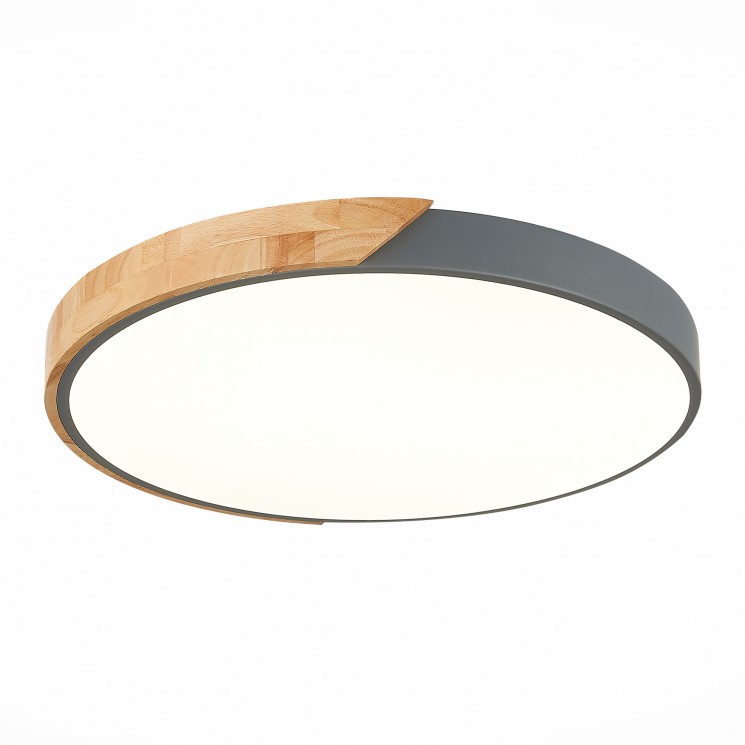 Светильник потолочный Evoluce FESTA SLE200972-01