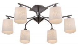 Потолочный светильник Maytoni FR5117CL-06CH Ciclo