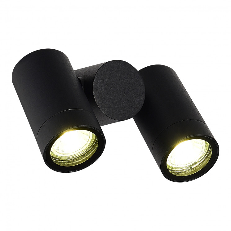 Светильник уличный потолочный ST-Luce черный/белый GU10 2*50W SL9011.402.02 ECOLLO