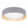 Накладной светильник LOFT IT 10202 Grey