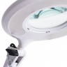 Светильник настольный Arte lamp LUNA A2013LT-1WH