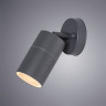 Светильник настенный ARTE Lamp A3304AL-1GY MISTERO