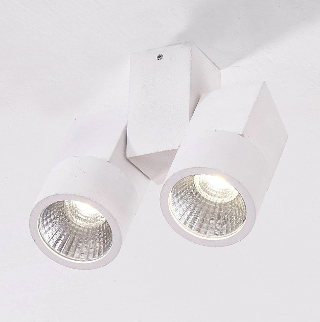 Светильник спот накладной Citilux CL556100