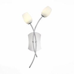 Бра ST-Luce SL478.101.02