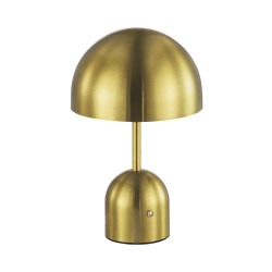 Прикроватная лампа EVOLUCE Латунь/Латунь LED 1*3W 3000-6000K          SLE1806-204-01