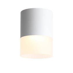 Светильник потолочный ST Luce OTTU ST100.502.15