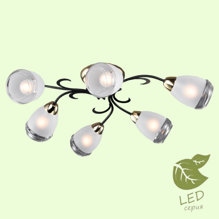 Накладная люстра Lussole GRLSP-9952 OAKLAND