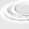 Светодиодная лента Arlight RT 2-5000 24V White5500 5mm 2x (3528, 600 LED, LUX) 024106(B)