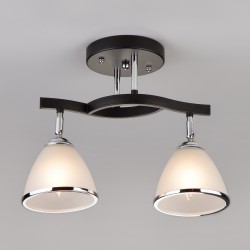 Потолочный светильник  Eurosvet Ontario 9612/2 хром/венге