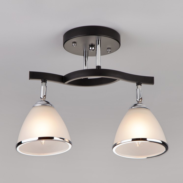 Потолочный светильник  Eurosvet Ontario 9612/2 хром/венге