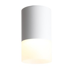 Светильник потолочный ST Luce OTTU ST100.542.05