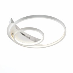 Светильник потолочный ST Luce SL858.502.02