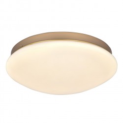 Потолочный светильник F-Promo Ledante 2466-2C