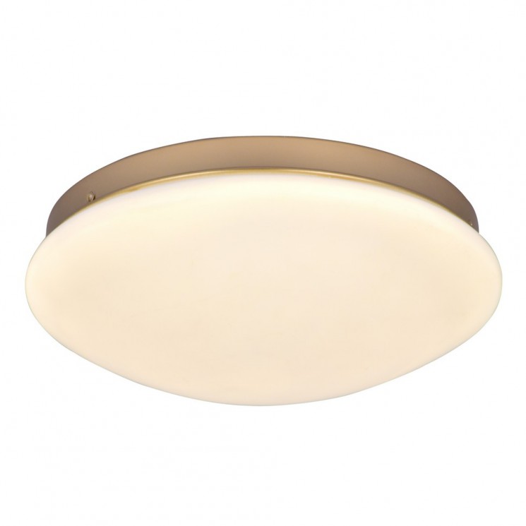 Потолочный светильник F-Promo Ledante 2466-2C