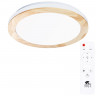 Накладной светильник ARTE Lamp A2685PL-72WH Luce