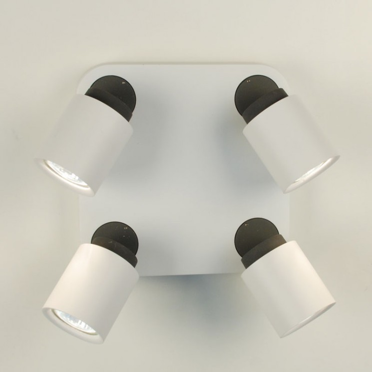 Светильник Citilux CL533541